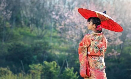 Comment préparer son voyage au Japon ? Guide complet.